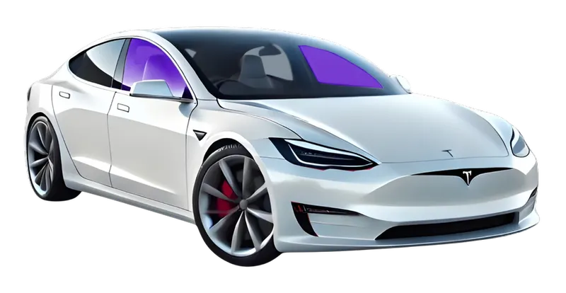 Car diagram with front door windows highlighted for front two window tint