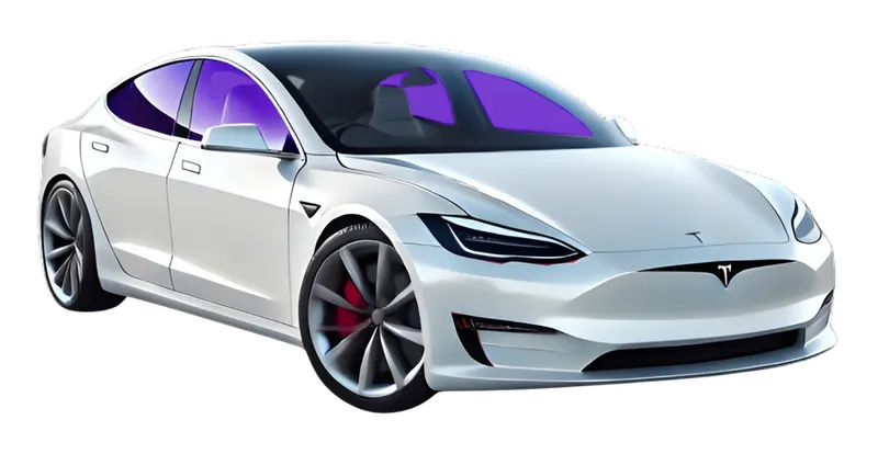 Car diagram with rear side windows and rear glass highlighted for side and rear window tint